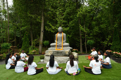 Wellness in a Nutshell by Aarav Rajanikanthan