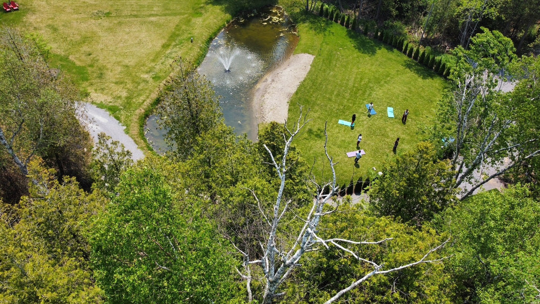 Discover Nature's Bed and Breakfast Sanctuary: Aham Brahmasmi Wellness Centre