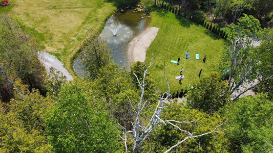 Discover Nature's Bed and Breakfast Sanctuary: Aham Brahmasmi Wellness Centre